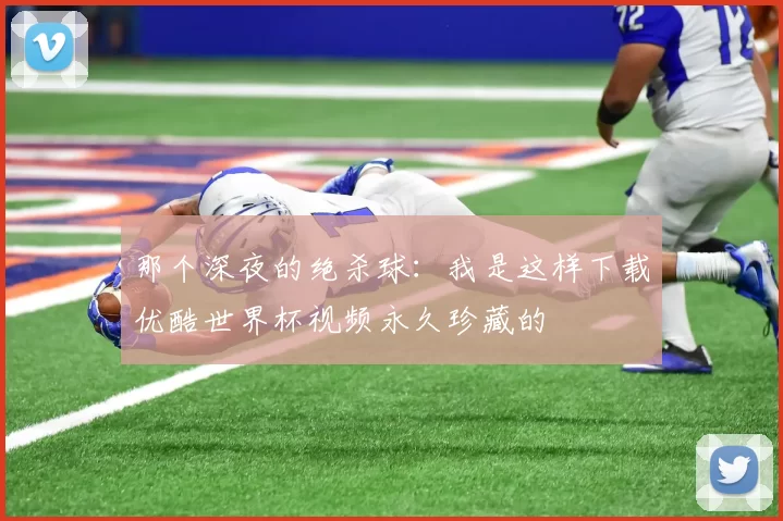 那个深夜的绝杀球：我是这样下载优酷世界杯视频永久珍藏的