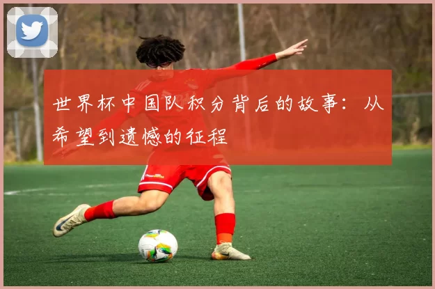 世界杯中国队积分背后的故事：从希望到遗憾的征程