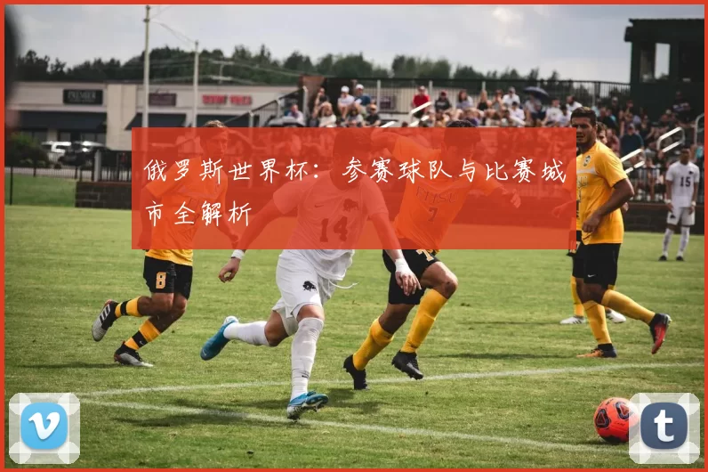 俄罗斯世界杯：参赛球队与比赛城市全解析
