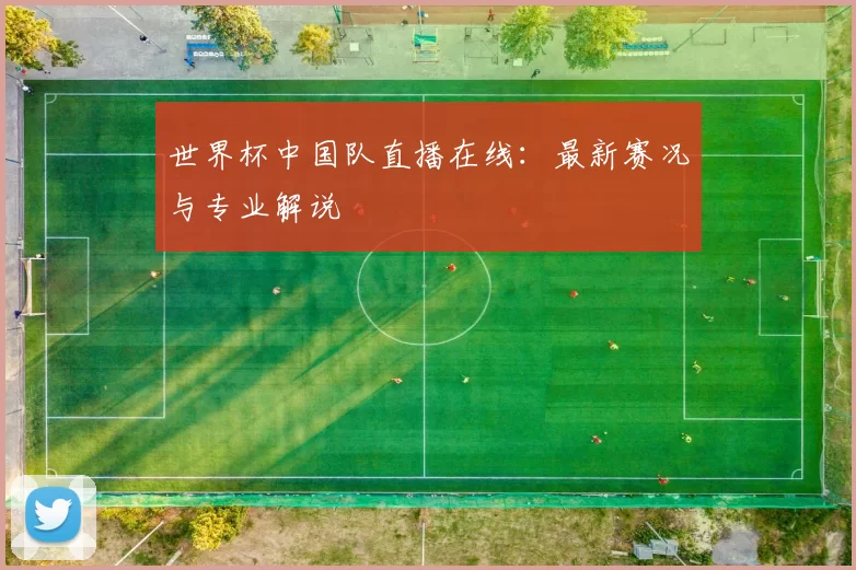 世界杯中国队直播在线：最新赛况与专业解说