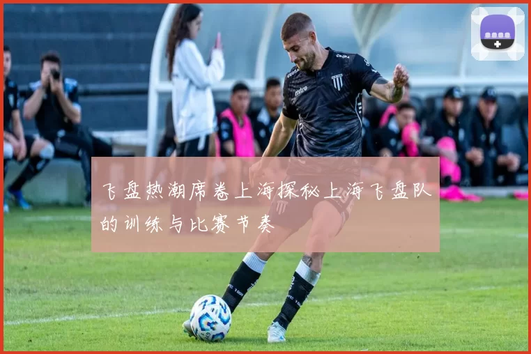 飞盘热潮席卷上海探秘上海飞盘队的训练与比赛节奏