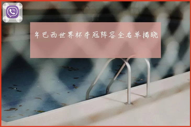 年巴西世界杯夺冠阵容全名单揭晓