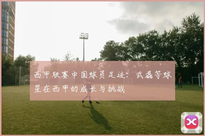 西甲联赛中国球员足迹:武磊等球星在西甲的成长与挑战