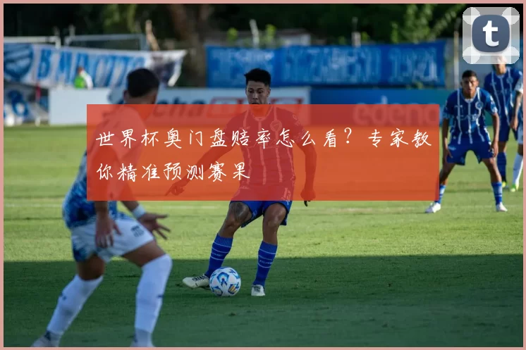 世界杯奥门盘赔率怎么看？专家教你精准预测赛果