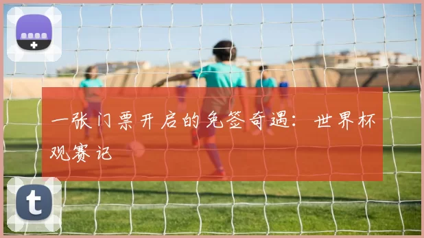 一张门票开启的免签奇遇:世界杯观赛记