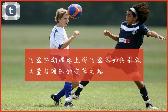 飞盘热潮席卷上海飞盘队如何引领力量与团队的变革之路