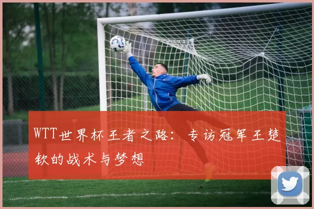 WTT世界杯王者之路：专访冠军王楚钦的战术与梦想