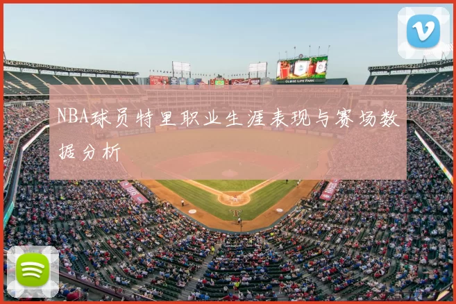 NBA球员特里职业生涯表现与赛场数据分析