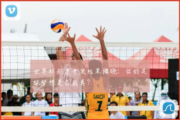 世界杯彩票开奖结果揭晓：你的足球梦想是否成真？