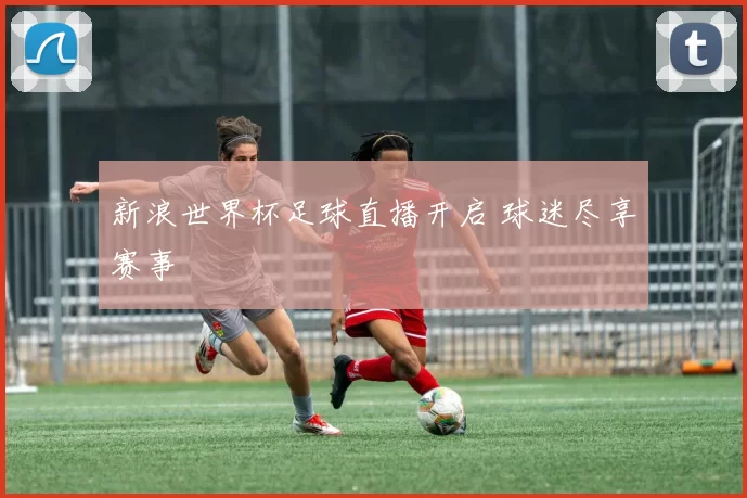 新浪世界杯足球直播开启 球迷尽享赛事